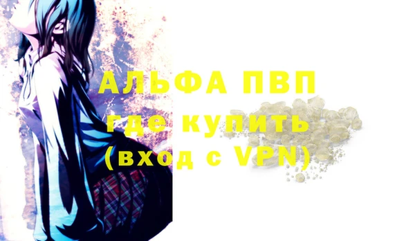 эйфоретик Няндома