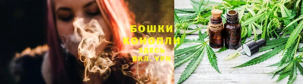 твердый Осинники