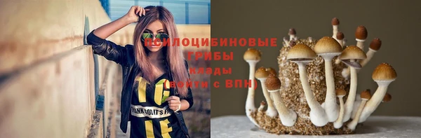 прущие крисы Осташков