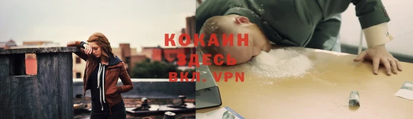 эйфоретик Няндома