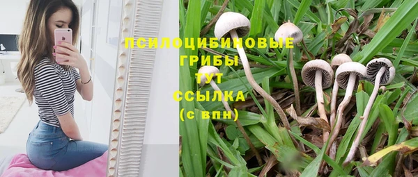 эйфоретик Няндома