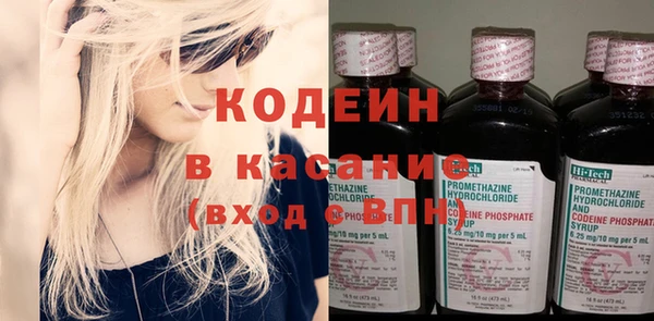эйфоретик Няндома