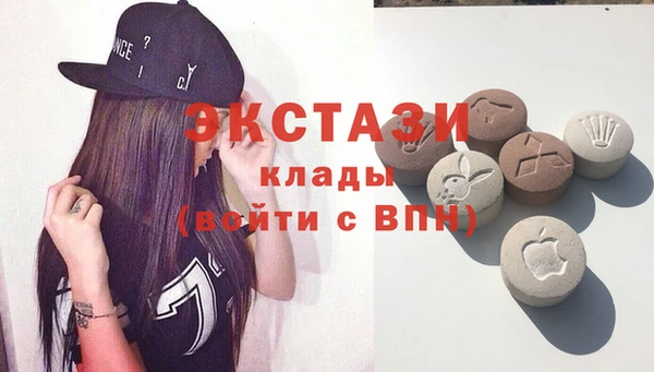 эйфоретик Няндома