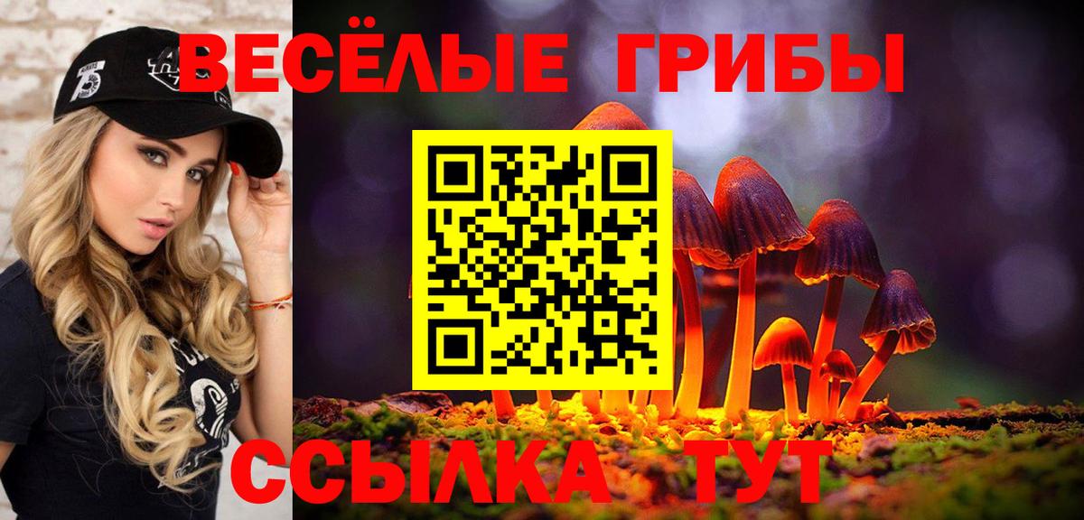 Галлюциногенные грибы Cubensis  Галлюциногенные грибы Psilocybe  Истра  Вход с VPN 